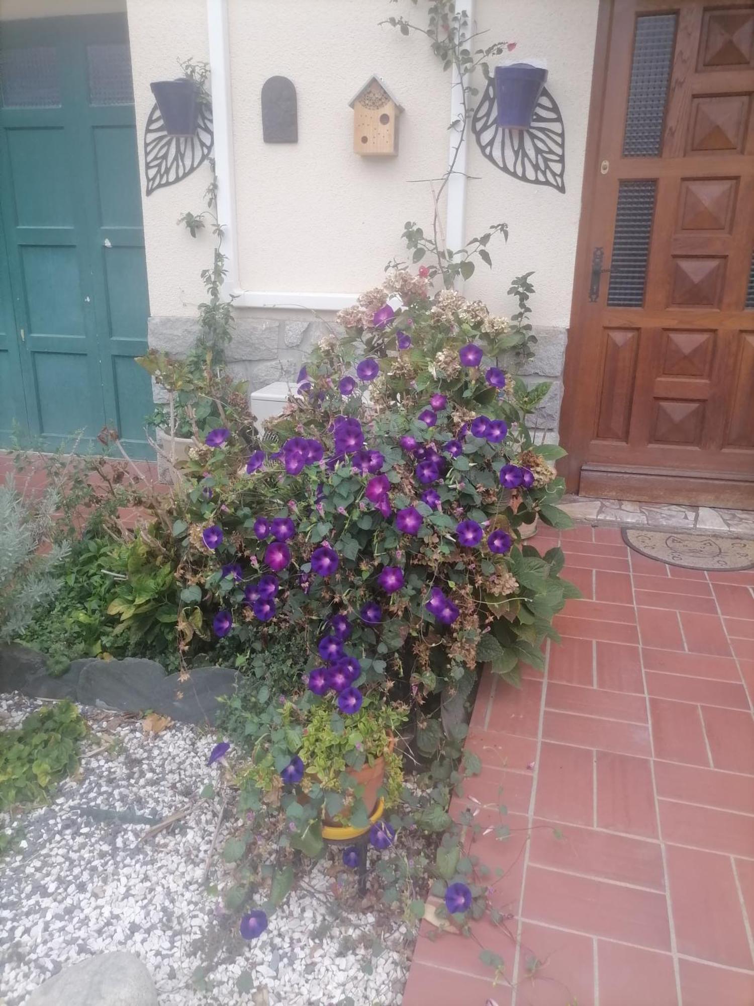 Maison Du Soleil Prades  Extérieur photo